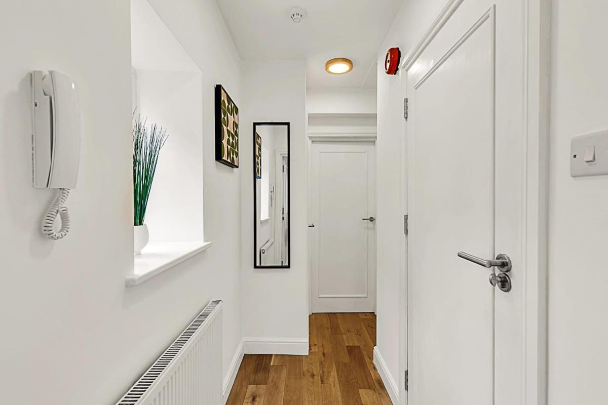 Contemporary Oasis In Paddington